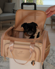 Airline Approved Travel Pet Carrier