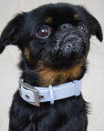 QA Sale - Solace Waterproof Dog Collar