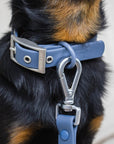 QA Sale - Solace Waterproof Dog Collar