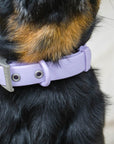 QA Sale - Solace Waterproof Dog Collar