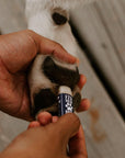 Paw Balm Trio