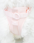 Solace Adjustable Dog Harness