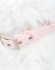 QA Sale - Solace Waterproof Dog Collar