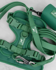 Solace Adjustable Dog Harness