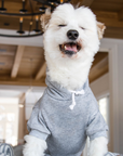 Blank Dog Hoodie