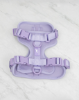 Solace Adjustable Dog Harness