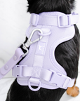 Solace Adjustable Dog Harness