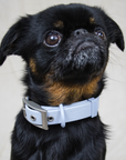 Solace Waterproof Dog Collar
