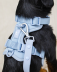 Solace Adjustable Dog Harness