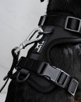 Solace Adjustable Dog Harness