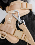 Solace Adjustable Dog Harness