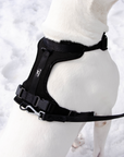 Solace Adjustable Dog Harness