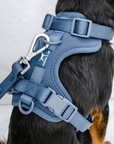 Solace Adjustable Dog Harness