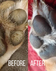 Paw Balm Trio
