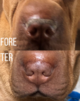 Snout Balm