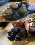Paw Balm Trio