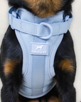 Solace Adjustable Dog Harness