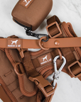 Solace Adjustable Dog Harness