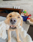 Cotton Rope Toy