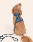 Solace Adjustable Dog Harness