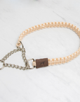 Paracord Martingale Collar