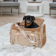 Airline Approved Travel Pet Carrier