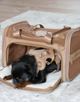 Airline Approved Travel Pet Carrier