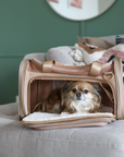 Airline Approved Travel Pet Carrier