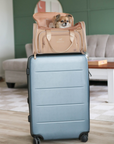 Airline Approved Travel Pet Carrier