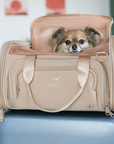 Airline Approved Travel Pet Carrier