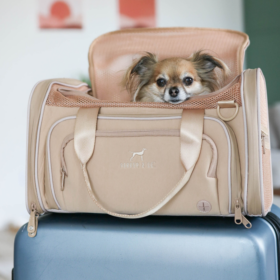 Airline Approved Travel Pet Carrier