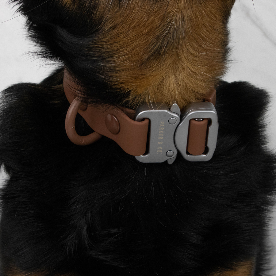 Solace Waterproof Quick Release Adjustable Dog Collar