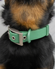 Solace Waterproof Dog Collar