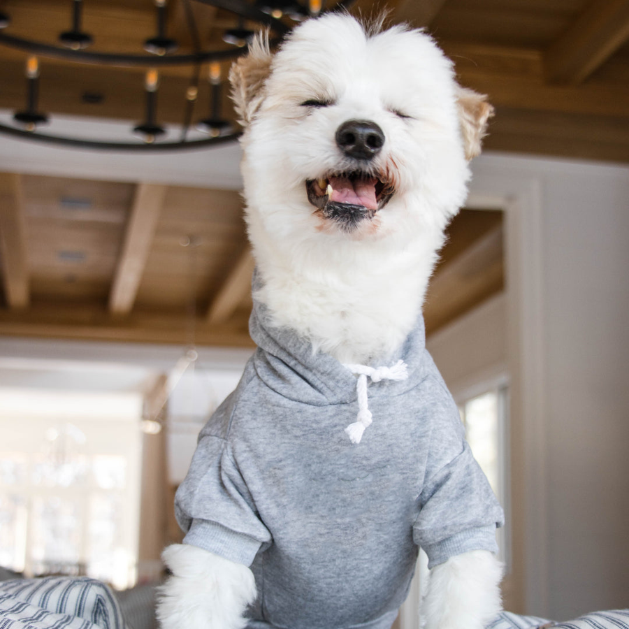 Blank Dog Hoodie Parker Co