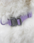 Solace Waterproof Quick Release Adjustable Dog Collar