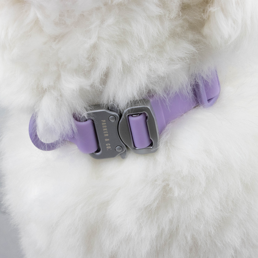 Solace Waterproof Quick Release Adjustable Dog Collar