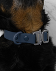 Solace Waterproof Quick Release Adjustable Dog Collar