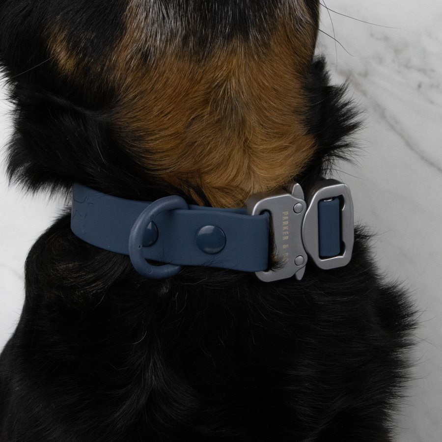 Solace Waterproof Quick Release Adjustable Dog Collar