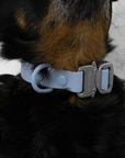 Solace Waterproof Quick Release Adjustable Dog Collar