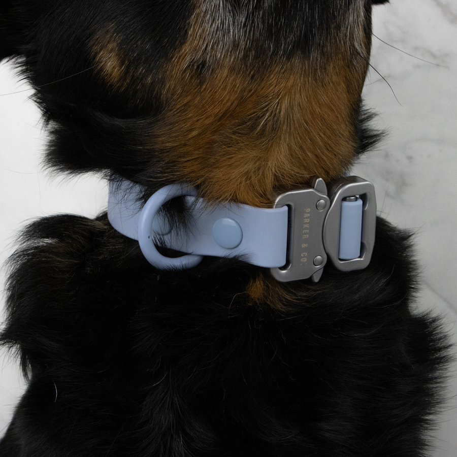 Solace Waterproof Quick Release Adjustable Dog Collar