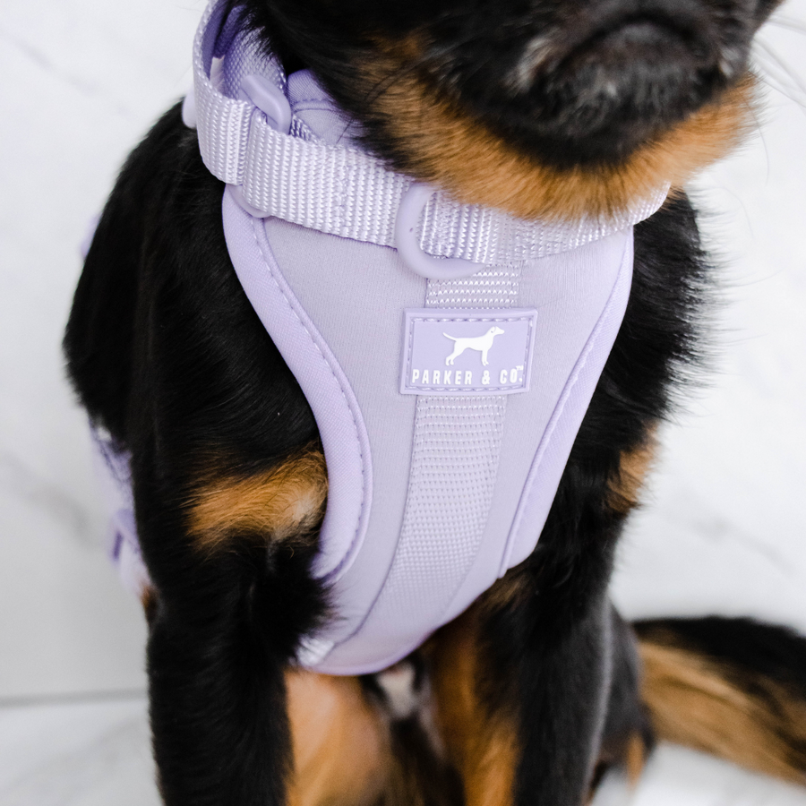 Solace Adjustable Dog Harness
