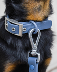 Solace Waterproof Dog Collar