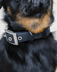 Solace Waterproof Dog Collar