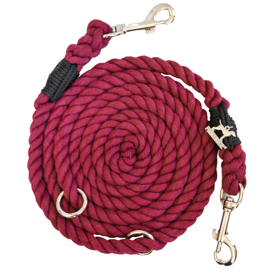 6 IN 1 Hands Free Cotton Rope Dog Leash