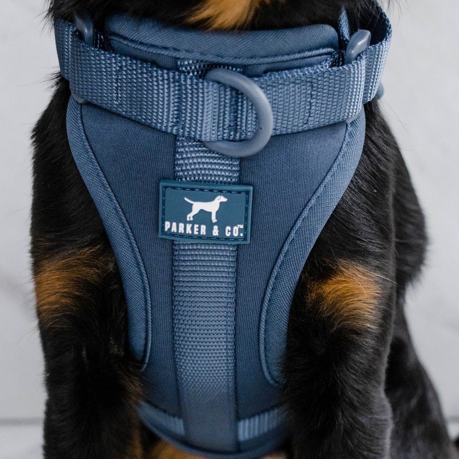 PetWale Cotton Adjustable Dog H-Harness (Orange & Blue, Medium) :  : Pet Supplies