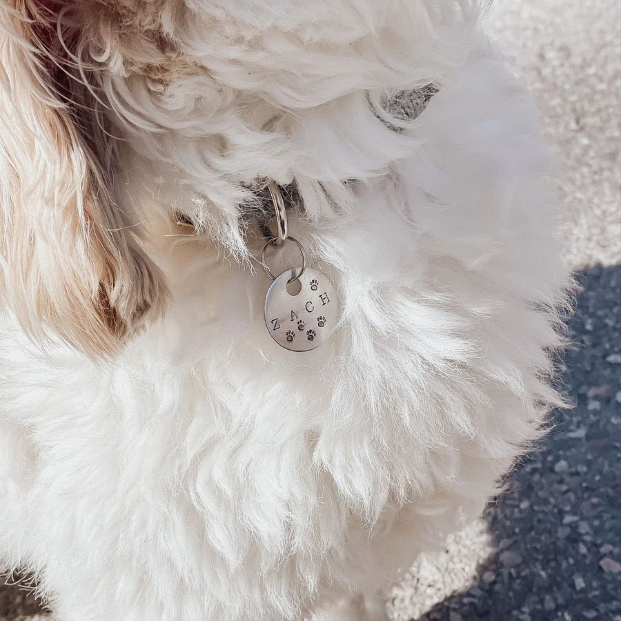 Hand Stamped Pet ID Tag